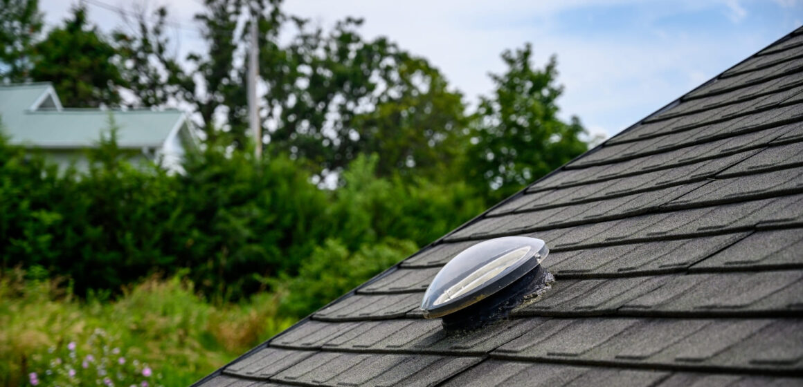 Eco-Friendly Lighting: How Sun Tubes Are Reducing New Zealand's Carbon Footprint